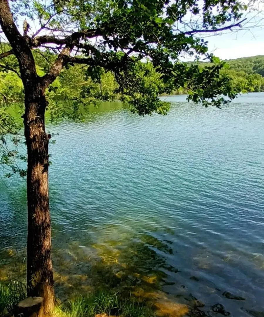 La Maison Du Lac Villa Roumegoux  Francia